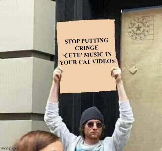 Protest | STOP PUTTING CRINGE ‘CUTE’ MUSIC IN YOUR CAT VIDEOS | image tagged in protest | made w/ Imgflip meme maker