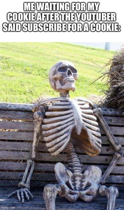 Waiting Skeleton Meme | ME WAITING FOR MY COOKIE AFTER THE YOUTUBER SAID SUBSCRIBE FOR A COOKIE: | image tagged in memes,waiting skeleton | made w/ Imgflip meme maker
