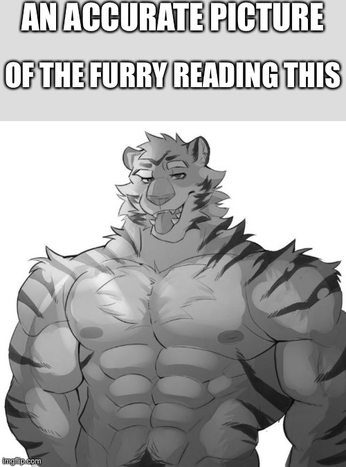 Submit a furry meme template you want me to use for my next meme! :D | AN ACCURATE PICTURE; OF THE FURRY READING THIS | image tagged in furry chad,wholesome | made w/ Imgflip meme maker