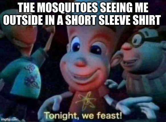 Tonight, we feast | THE MOSQUITOES SEEING ME OUTSIDE IN A SHORT SLEEVE SHIRT | image tagged in tonight we feast | made w/ Imgflip meme maker