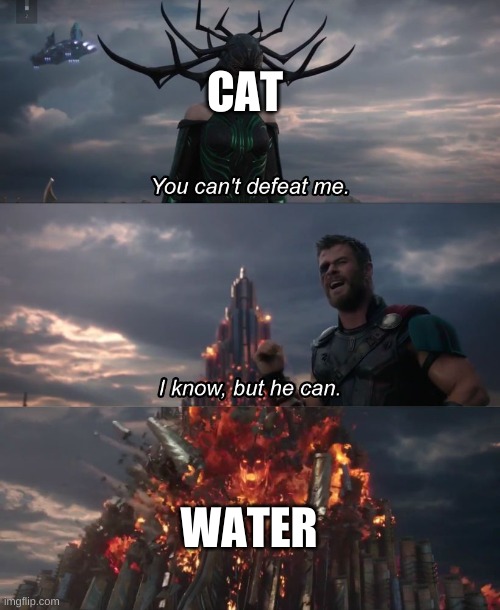 I know, but he can | CAT; WATER | image tagged in i know but he can | made w/ Imgflip meme maker
