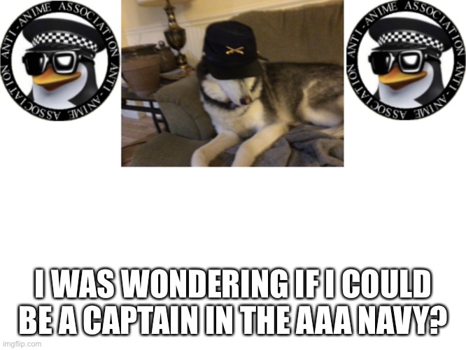 I was just wondering | I WAS WONDERING IF I COULD BE A CAPTAIN IN THE AAA NAVY? | image tagged in shyro announcement template,navy,aaa | made w/ Imgflip meme maker
