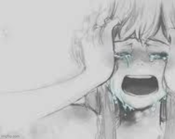 Crying Anime Girl | image tagged in crying anime girl | made w/ Imgflip meme maker