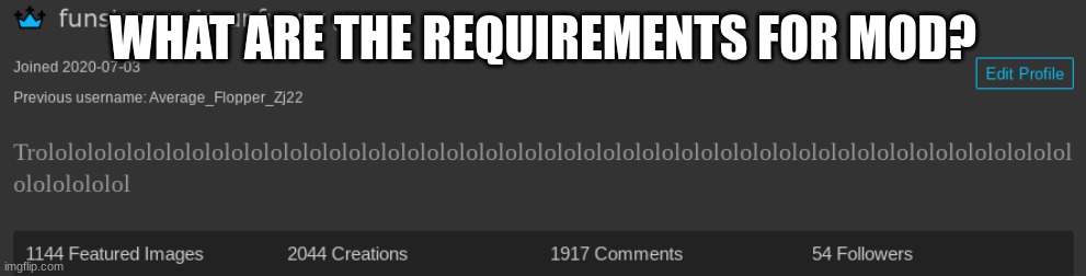 WHAT ARE THE REQUIREMENTS FOR MOD? | made w/ Imgflip meme maker