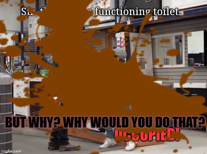 BUT WHY? WHY WOULD YOU DO THAT? | made w/ Imgflip meme maker