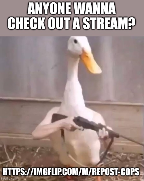 Donk | ANYONE WANNA CHECK OUT A STREAM? HTTPS://IMGFLIP.COM/M/REPOST-COPS | image tagged in donk | made w/ Imgflip meme maker