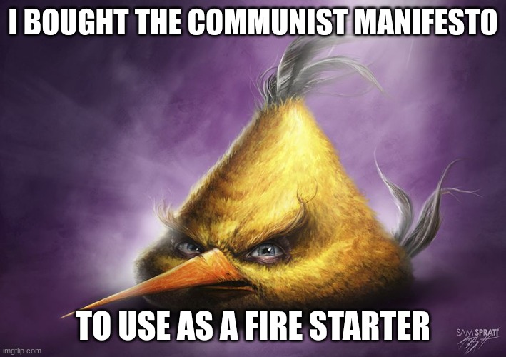 Hyperrealistic Chuck | I BOUGHT THE COMMUNIST MANIFESTO; TO USE AS A FIRE STARTER | image tagged in reality,communism,yellow,birds,angry baby,fire | made w/ Imgflip meme maker