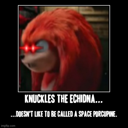 Jus to reiterate I would not call Knuckles a space porcupine or u might as well go home with a broken hand | image tagged in funny,demotivationals,memes,knuckles,sonic movie,sonic 2 | made w/ Imgflip demotivational maker