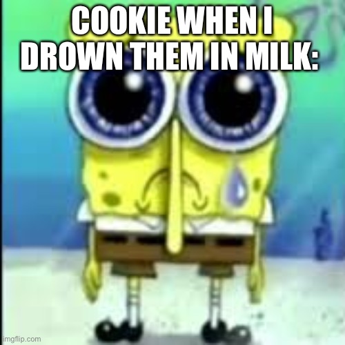:( | COOKIE WHEN I DROWN THEM IN MILK: | image tagged in spunch bop sad | made w/ Imgflip meme maker