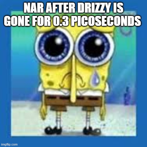 spongbob sad meme | NAR AFTER DRIZZY IS GONE FOR 0.3 PICOSECONDS | image tagged in spongbob sad meme | made w/ Imgflip meme maker