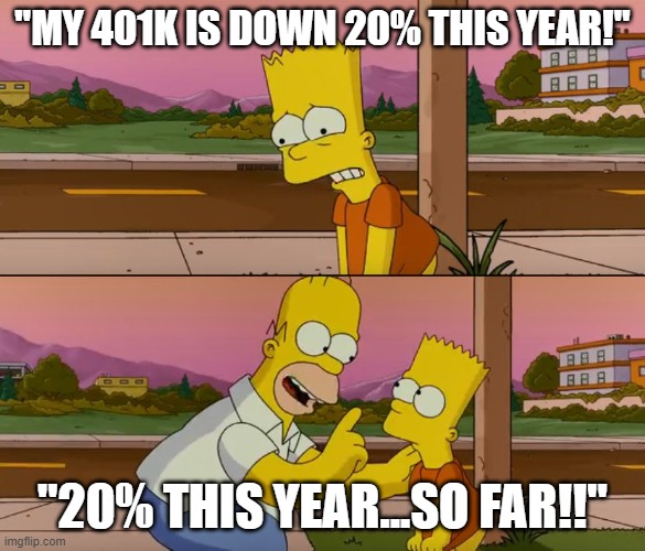 SandP Down 20% | "MY 401K IS DOWN 20% THIS YEAR!"; "20% THIS YEAR...SO FAR!!" | image tagged in stock market,biden economy,democrats economy,democrats,inflation,gas prices | made w/ Imgflip meme maker