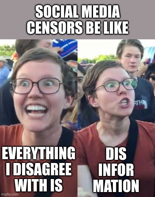 Playing games with the truth |  SOCIAL MEDIA CENSORS BE LIKE; DIS INFOR MATION; EVERYTHING I DISAGREE WITH IS | image tagged in stupid liberals | made w/ Imgflip meme maker