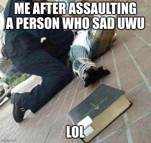 idk | ME AFTER ASSAULTING A PERSON WHO SAD UWU; LOL | image tagged in arrested crusader reaching for book | made w/ Imgflip meme maker