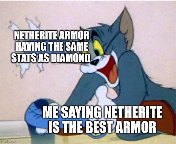 Tom and Jerry | NETHERITE ARMOR HAVING THE SAME STATS AS DIAMOND; ME SAYING NETHERITE IS THE BEST ARMOR | image tagged in tom and jerry | made w/ Imgflip meme maker