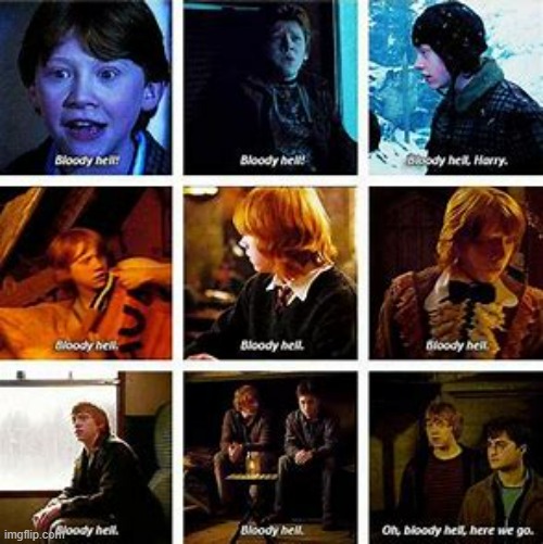 ron weasley's bloody hells | image tagged in ron weasley's bloody hells | made w/ Imgflip meme maker