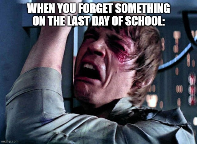 It scares me to death... | WHEN YOU FORGET SOMETHING ON THE LAST DAY OF SCHOOL: | image tagged in nooo | made w/ Imgflip meme maker