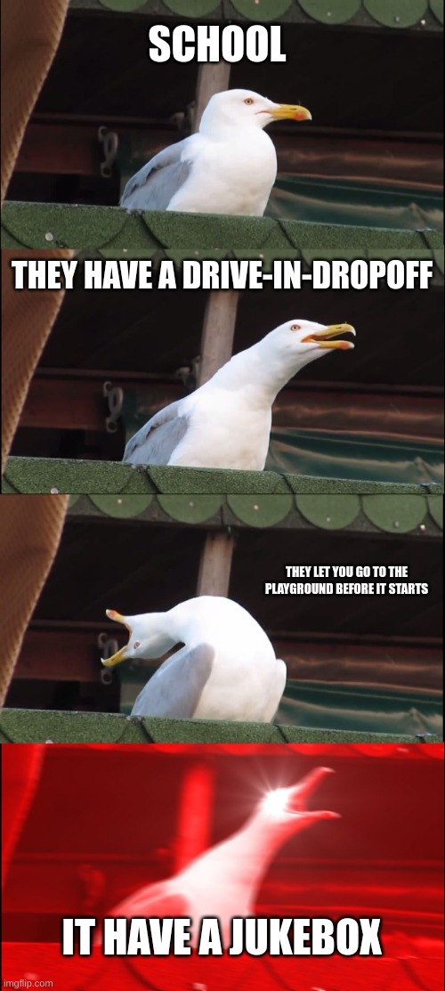 School | SCHOOL; THEY HAVE A DRIVE-IN-DROPOFF; THEY LET YOU GO TO THE PLAYGROUND BEFORE IT STARTS; IT HAVE A JUKEBOX | image tagged in memes,inhaling seagull | made w/ Imgflip meme maker