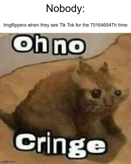 I know Tik Tok is bad but why do they all hate it? | Nobody:; Imgflippers when they see Tik Tok for the 75164654Th time: | image tagged in oh no cringe | made w/ Imgflip meme maker