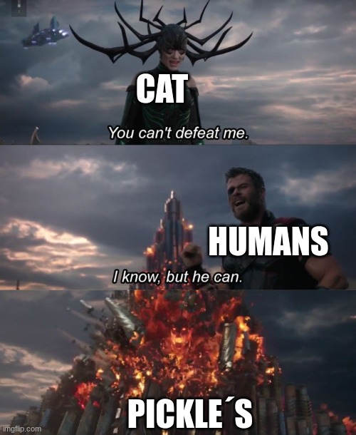 You can't defeat me | CAT HUMANS PICKLE´S | image tagged in you can't defeat me | made w/ Imgflip meme maker