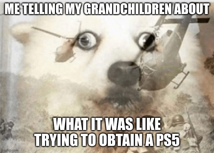 The ps5 | ME TELLING MY GRANDCHILDREN ABOUT; WHAT IT WAS LIKE TRYING TO OBTAIN A PS5 | image tagged in ptsd dog | made w/ Imgflip meme maker