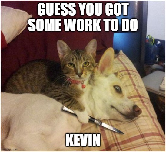 Warning killer cat | GUESS YOU GOT SOME WORK TO DO KEVIN | image tagged in warning killer cat | made w/ Imgflip meme maker