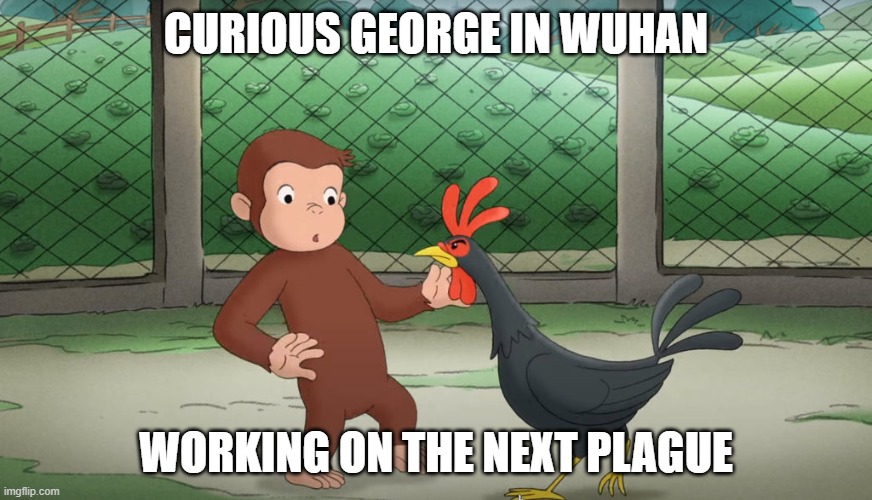 Curious Monkeypox | CURIOUS GEORGE IN WUHAN; WORKING ON THE NEXT PLAGUE | image tagged in monkeypox,curious george,bird flu,wuhan | made w/ Imgflip meme maker