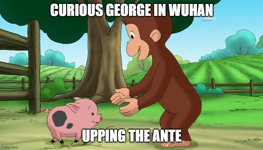 Curious George Swine Flu | CURIOUS GEORGE IN WUHAN; UPPING THE ANTE | image tagged in swine flu,h1n1,monkeypox,wuhan | made w/ Imgflip meme maker