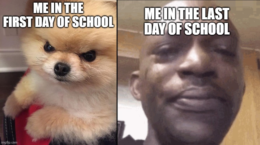 why does that actualy happen to me on the last days of schools | ME IN THE LAST DAY OF SCHOOL; ME IN THE FIRST DAY OF SCHOOL | image tagged in angry pomeranian,crying black dude | made w/ Imgflip meme maker