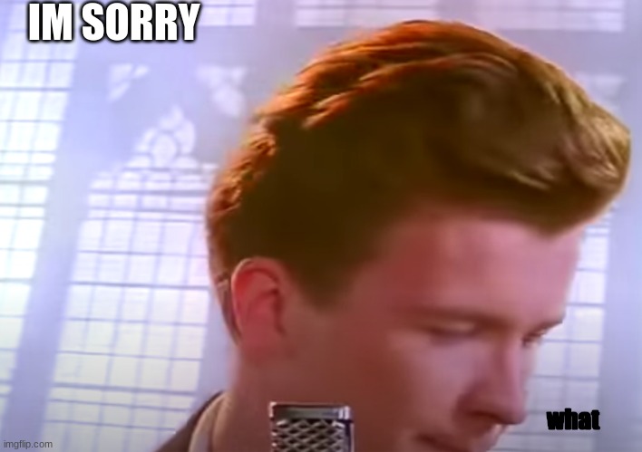 Im sorry what | IM SORRY what | image tagged in im sorry what | made w/ Imgflip meme maker
