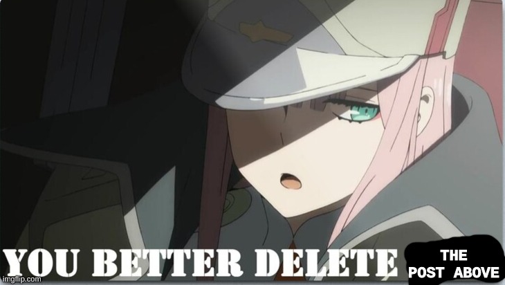 you better delete this but it's zero two | THE POST ABOVE | made w/ Imgflip meme maker