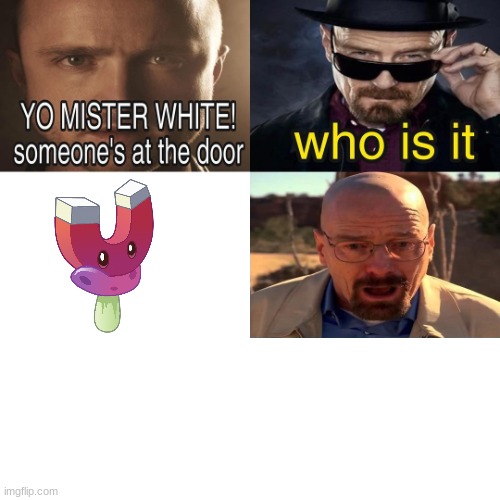 Yo Mister White, someone’s at the door! | image tagged in yo mister white someone s at the door | made w/ Imgflip meme maker