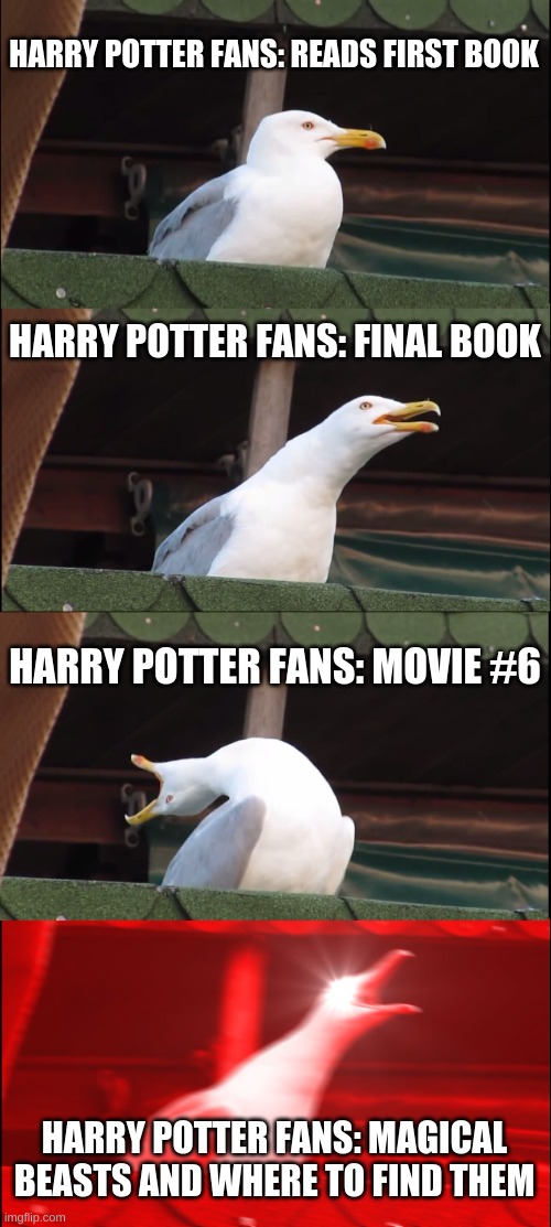 Harry potter fans evolution | HARRY POTTER FANS: READS FIRST BOOK; HARRY POTTER FANS: FINAL BOOK; HARRY POTTER FANS: MOVIE #6; HARRY POTTER FANS: MAGICAL BEASTS AND WHERE TO FIND THEM | image tagged in memes,inhaling seagull | made w/ Imgflip meme maker