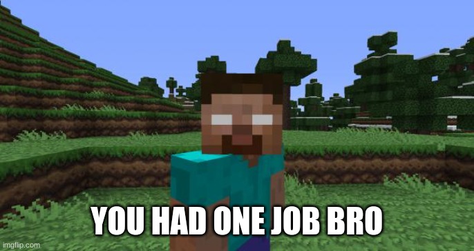 Herobrine | YOU HAD ONE JOB BRO | image tagged in herobrine | made w/ Imgflip meme maker
