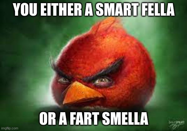 Realistic Red Angry Birds | YOU EITHER A SMART FELLA; OR A FART SMELLA | image tagged in realistic red angry birds | made w/ Imgflip meme maker