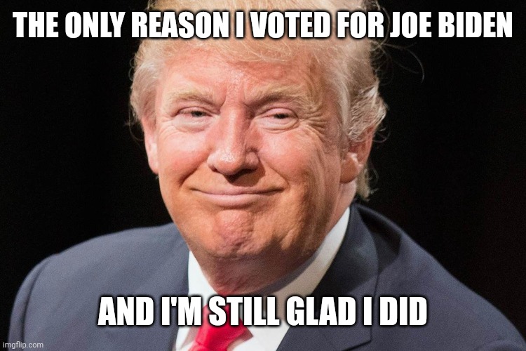 Illegitimate "President" donald trump | THE ONLY REASON I VOTED FOR JOE BIDEN; AND I'M STILL GLAD I DID | image tagged in traitor trump,lying trump,rapist trump,racist trump,cheater trump,mediocre biden | made w/ Imgflip meme maker
