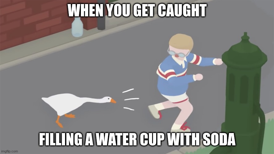 Ask for a water cup and fill it with soda | WHEN YOU GET CAUGHT; FILLING A WATER CUP WITH SODA | image tagged in goose game honk,soda,water,goose | made w/ Imgflip meme maker