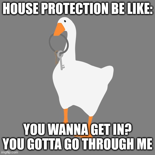 House protection | HOUSE PROTECTION BE LIKE:; YOU WANNA GET IN? YOU GOTTA GO THROUGH ME | image tagged in untitled goose game,goose | made w/ Imgflip meme maker