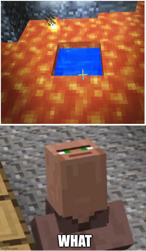 Cursed | WHAT | image tagged in minecraft villager looking up,cursed | made w/ Imgflip meme maker