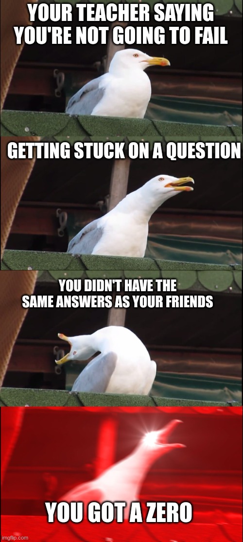 Inhaling Seagull | YOUR TEACHER SAYING YOU'RE NOT GOING TO FAIL; GETTING STUCK ON A QUESTION; YOU DIDN'T HAVE THE SAME ANSWERS AS YOUR FRIENDS; YOU GOT A ZERO | image tagged in memes,inhaling seagull | made w/ Imgflip meme maker