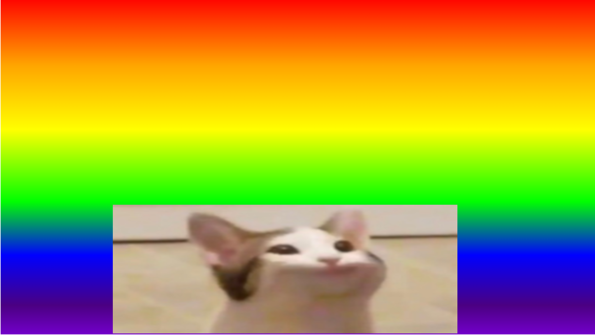 90s rainbow with a low effort cat Blank Meme Template