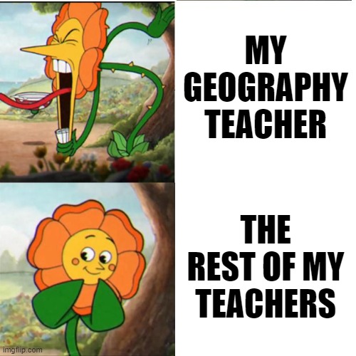For some reason, my new geopgraphy teacher is strict. | MY GEOGRAPHY TEACHER; THE REST OF MY TEACHERS | image tagged in cuphead flower | made w/ Imgflip meme maker