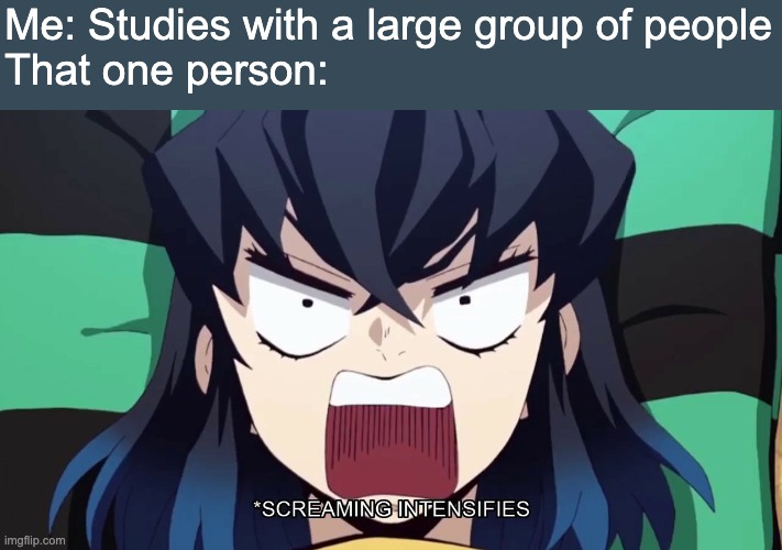 :l I need help... | Me: Studies with a large group of people
That one person: | image tagged in demon slayer inosuke screaming | made w/ Imgflip meme maker