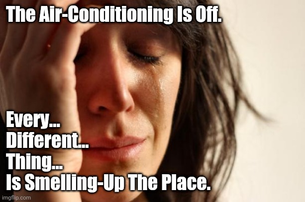 First World Problems Meme | The Air-Conditioning Is Off. Every...
Different...
Thing...
Is Smelling-Up The Place. | image tagged in first world problems,summer,air conditioner,commercials,hvac,business | made w/ Imgflip meme maker