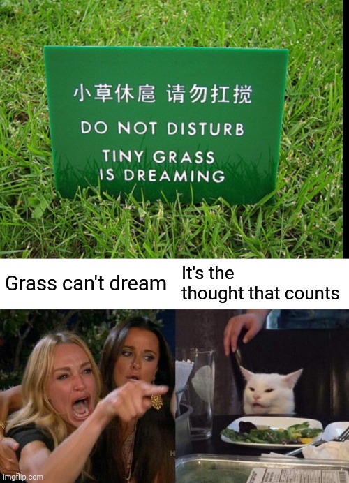 Grass can't dream; It's the thought that counts | image tagged in memes,woman yelling at cat | made w/ Imgflip meme maker