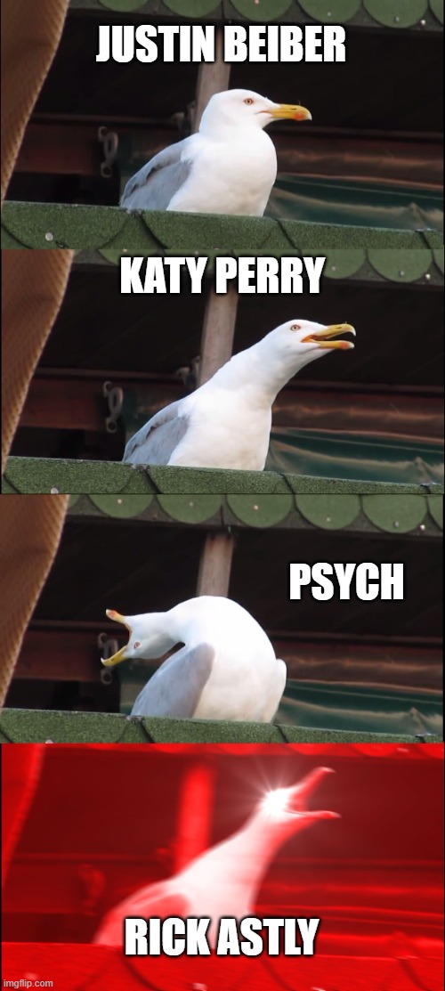 songs | JUSTIN BEIBER; KATY PERRY; PSYCH; RICK ASTLY | image tagged in memes,inhaling seagull | made w/ Imgflip meme maker