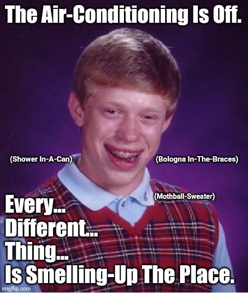 Bad Luck Brian |  The Air-Conditioning Is Off. (Bologna In-The-Braces); (Shower In-A-Can); (Mothball-Sweater); Every...
Different...
Thing...
Is Smelling-Up The Place. | image tagged in bad luck brian,summer,air conditioner,businesses,stores | made w/ Imgflip meme maker