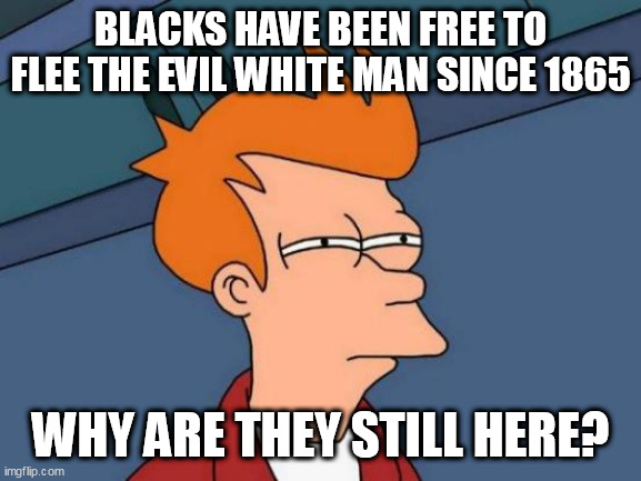 Futurama Fry Meme | BLACKS HAVE BEEN FREE TO FLEE THE EVIL WHITE MAN SINCE 1865; WHY ARE THEY STILL HERE? | image tagged in memes,futurama fry | made w/ Imgflip meme maker