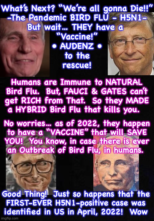 These two EVIL BA$TARD$ gotta go - AUDENZ ain’t the cure. Getting Rid Of THEM, is | What’s Next? “We’re all gonna Die!!”
-The Pandemic BIRD FLU - H5N1-
But wait… THEY have a 
“Vaccine!”
• AUDENZ •
to the
rescue! Humans are Immune to NATURAL
Bird Flu.  But, FAUCI & GATES can’t
get RICH from That.  So they MADE
a HYBRID Bird Flu that kills you. No worries… as of 2022, they happen
to have a “VACCINE” that will SAVE
YOU!  You know, in case there is ever
an Outbreak of Bird Flu, in humans. Good Thing!  Just so happens that the
FIRST-EVER H5N1-positive case was
identified in US in April, 2022!  Wow | image tagged in memes,bird flu,they want to vax us to death,depopulate the world and own it,make killer viruses,make killer vaxs kiss my ass | made w/ Imgflip meme maker