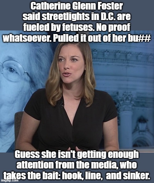 GOP ramps up outrageous, ridiculous anti-abortion lies, again. | Catherine Glenn Foster said streetlights in D.C. are fueled by fetuses. No proof whatsoever. Pulled it out of her bu##; Guess she isn't getting enough attention from the media, who takes the bait: hook, line,  and sinker. | image tagged in made up stuff as usual,probirth but not prolife,no evidence,thinks you are stupid,thinks you believe without checking facts | made w/ Imgflip meme maker