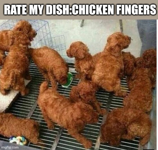 RATE MY DISH:CHICKEN FINGERS | image tagged in funny memes | made w/ Imgflip meme maker